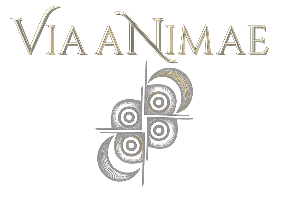 dasfgdhfjtrtsgraeswrtfaeswzgdasfgdzsadreaswx